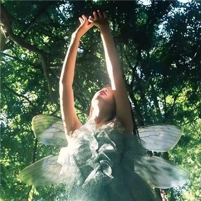 阿拉斯加大淘金第四季