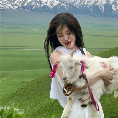 妙警贼探第三季